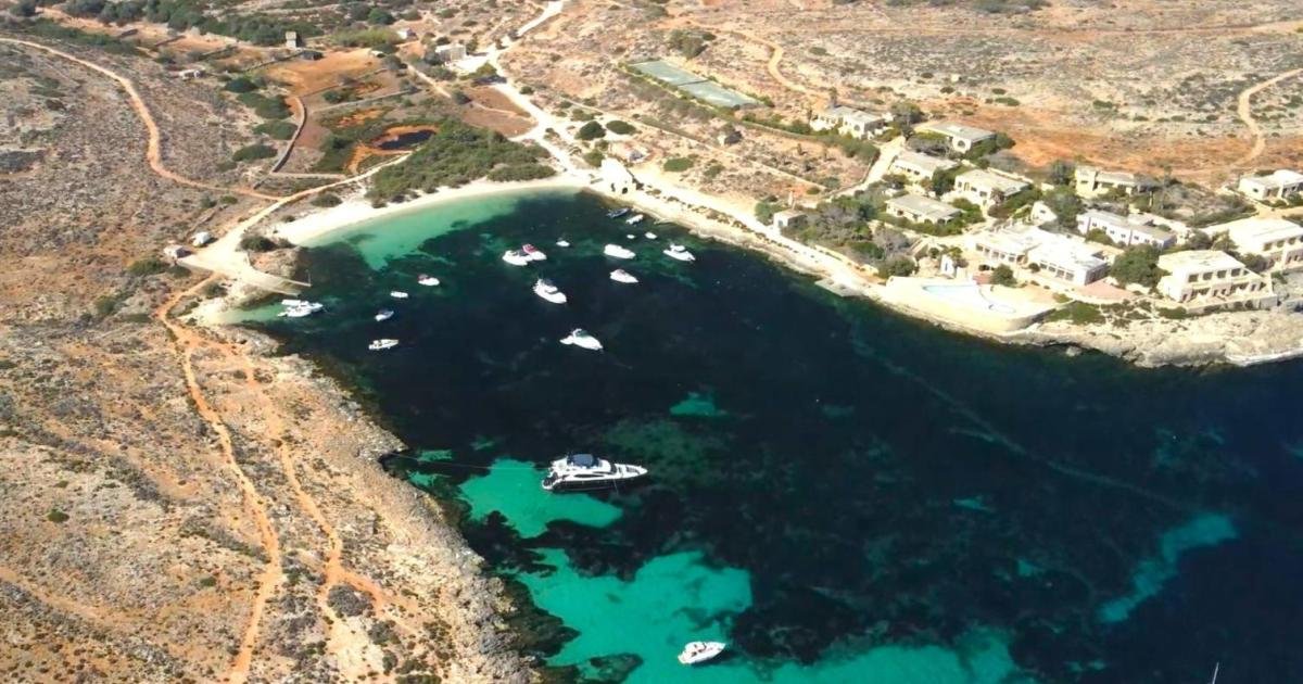 ERA'ya Komino'daki Yüzlerce Ağaç İçin Kararı Erteleme Çağrısı