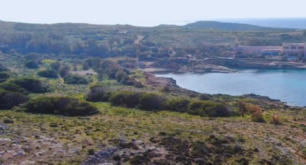 Comino'da Ağaç ve Çalıların Kaldırılmasına İzin Verilmesine BirdLife Malta Tepki Gösterdi