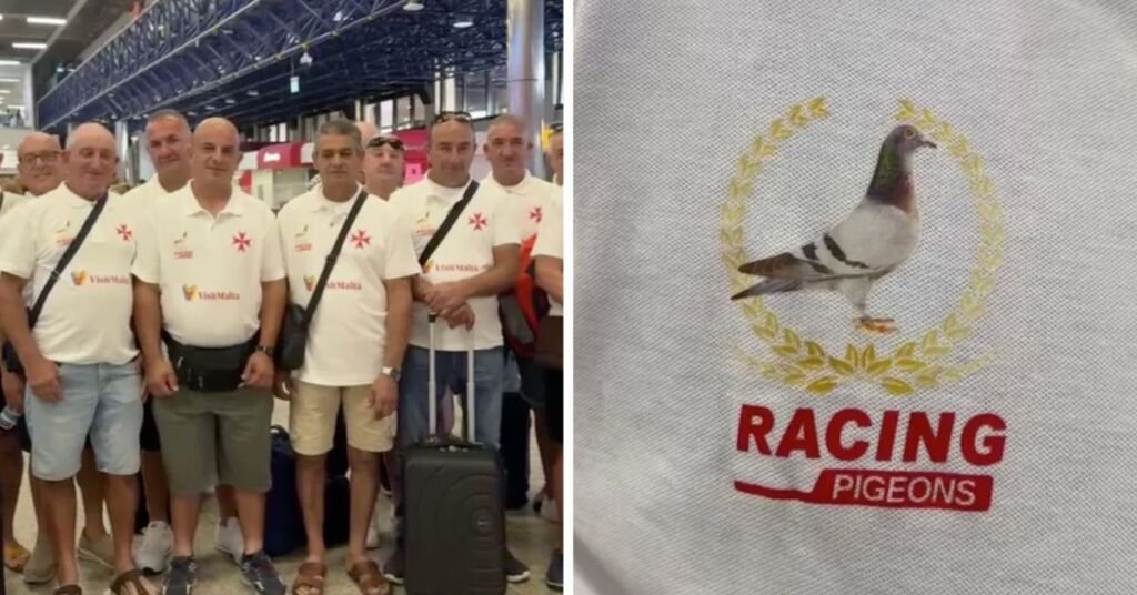 Malta'nın ulusal güvercin yarışı takımı Portekiz'e uluslararası yarış için gidiyor