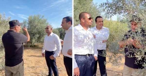 Başbakan Robert Abela yedi nesillik aile zeytinliğini ziyaret ederek Gozo üreticilerini destekledi
