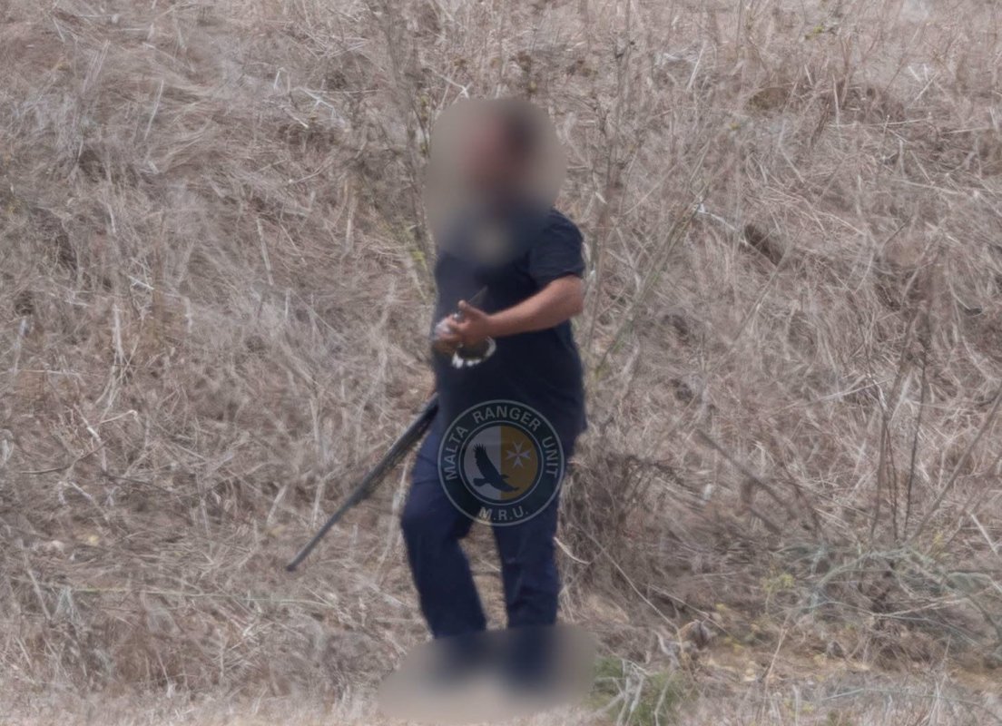 Gozo'da iddia edilen kumru vurma olayının ardından avcıya suçlama