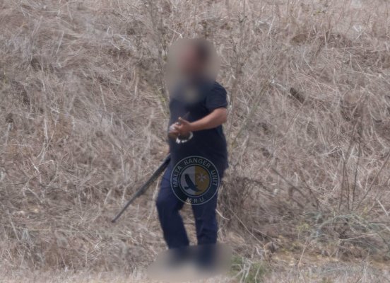 Gozo'da iddia edilen kumru vurma olayının ardından avcıya suçlama