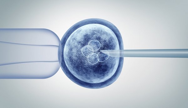 Thalidomide mağdurları derneği embriyo tarama planının engelliliği değersizleştirebileceği uyarısında bulundu