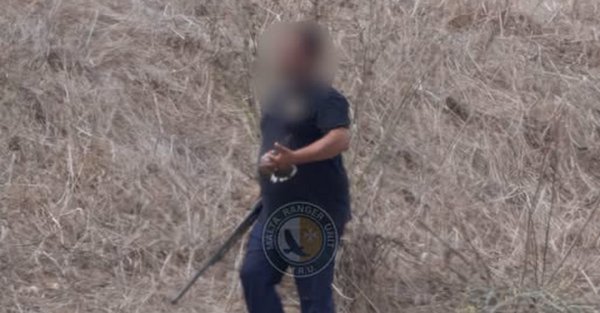 Gozo: sezon kapanmasının ardından üveykuş avlayan kaçak avcı yakalandı