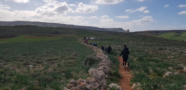 Malta kırsalında vurulmadan yürümek insanların hakkıdır – BirdLife Malta