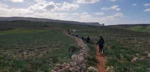 Malta kırsalında vurulmadan yürümek insanların hakkıdır – BirdLife Malta