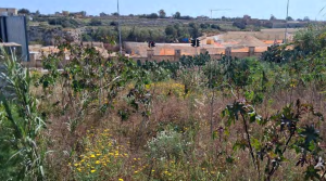 Çevre otoritesi Marsaskala girişindeki ODZ arazisindeki yaşlı bakım evi projesine itiraz etti