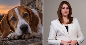 Hayvanlara kötü davrananlar adaletle karşılaşmalı: Alicia Bugeja Said konuştu