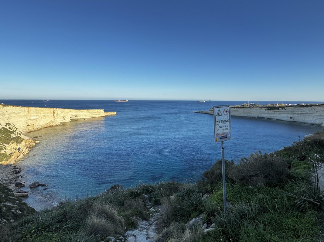 İstilacı inci istiridyeleri Malta'nın ısınan denizlerinin 'canlı sensörleri' olarak çalışıyor