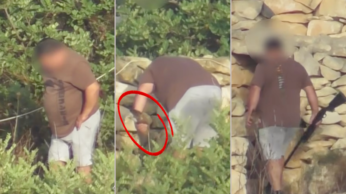 Korunan kerkenezi ayağının altında ezerek öldüren avcı