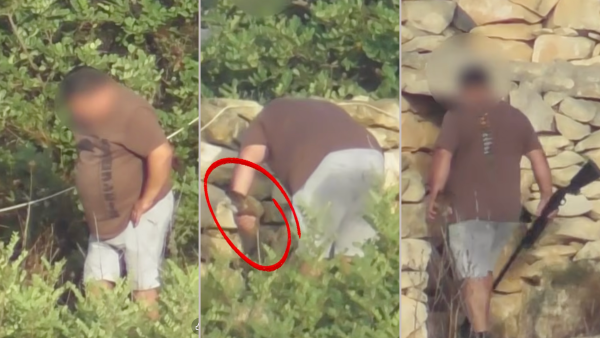 Korunan kerkenezi ayağının altında ezerek öldüren avcı