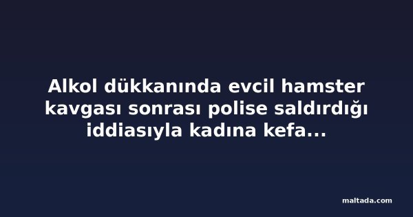 Alkol dükkanında evcil hamster kavgası sonrası polise saldırdığı iddiasıyla kadına kefalet reddi
