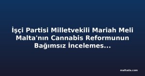 İşçi Partisi Milletvekili Mariah Meli Malta'nın Cannabis Reformunun Bağımsız İncelemesini İstedi