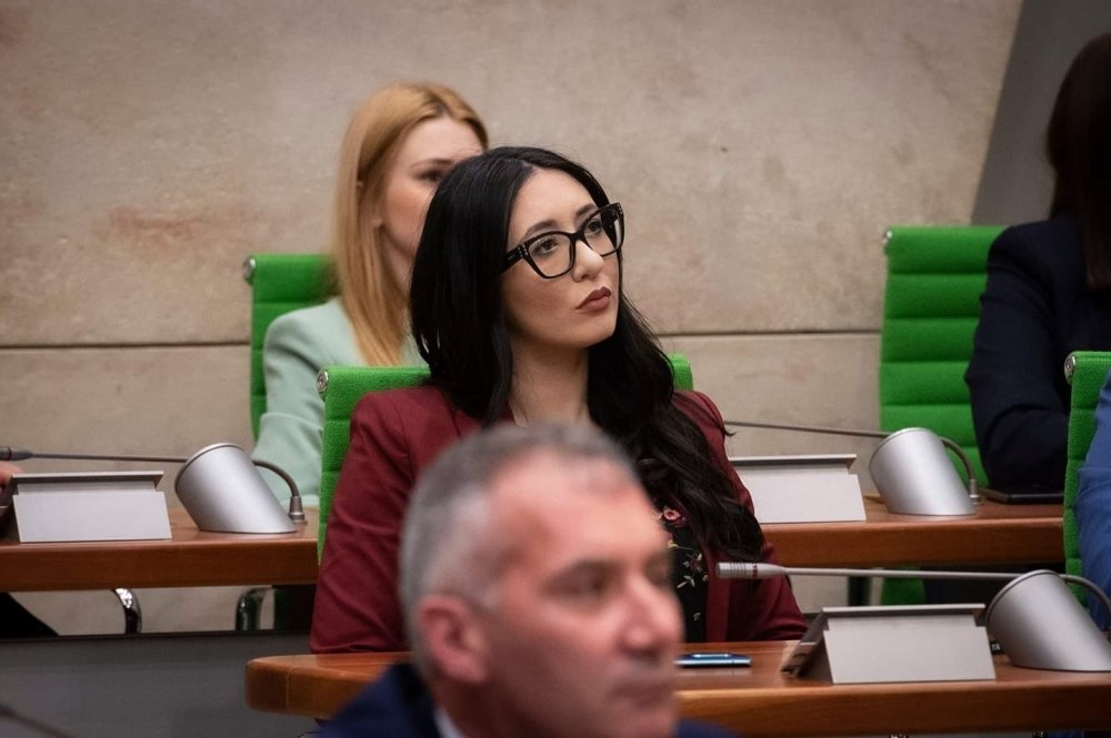 İşini yaptığı için öldürülen gazeteci ikinci kez kurban olmamalı, hükümet kırbaç Naomi Cachia Avrupa Konseyi'ne söyledi