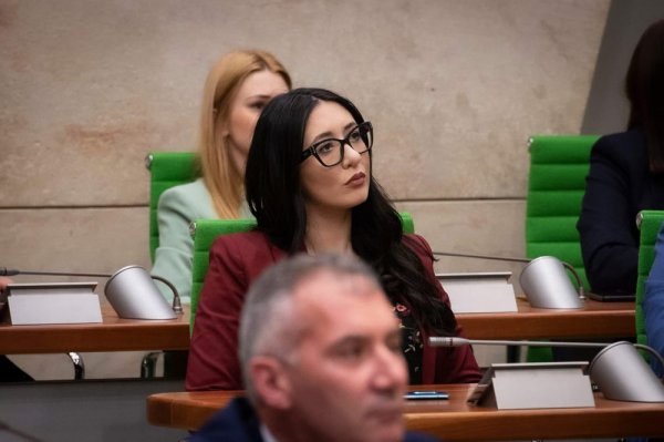 İşini yaptığı için öldürülen gazeteci ikinci kez kurban olmamalı, hükümet kırbaç Naomi Cachia Avrupa Konseyi'ne söyledi
