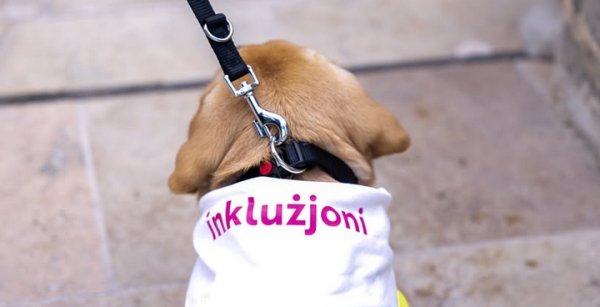 Malta'da Hizmet Köpekleri Vakfı İçin 150 Bin Euro'luk Yeni Anlaşma İmzalandı