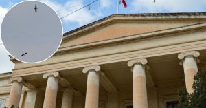 Avcı ömür boyu men edildi ve koruma altındaki kara leyleği vurduğu için 5.000 euro para cezasına çarptırıldı