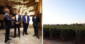 Marnisi Şaraplık Arazisi'ne 5,8 Milyon Euro Yatırım: Malta Şarabı, Tarım ve Turizm Güçlenecek