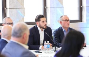 PN, Daphne Caruana Galizia soruşturma önerilerini içeren 10 yasa tasarısını sunacak