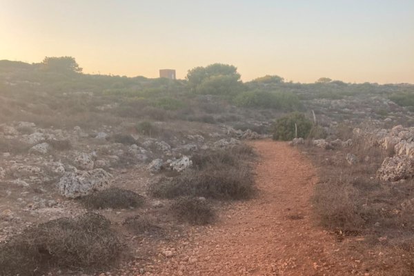 Kırsalda kurşun atılmadan yürüyebilme hakkı var – BirdLife