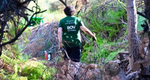 BOV sosyal haftası çalışan eylemini toplumsal etkiye çevirdi