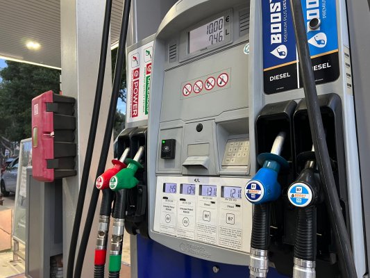 Yeşil Parti genel enerji sübvansiyonu yerine hedefli destek istiyor