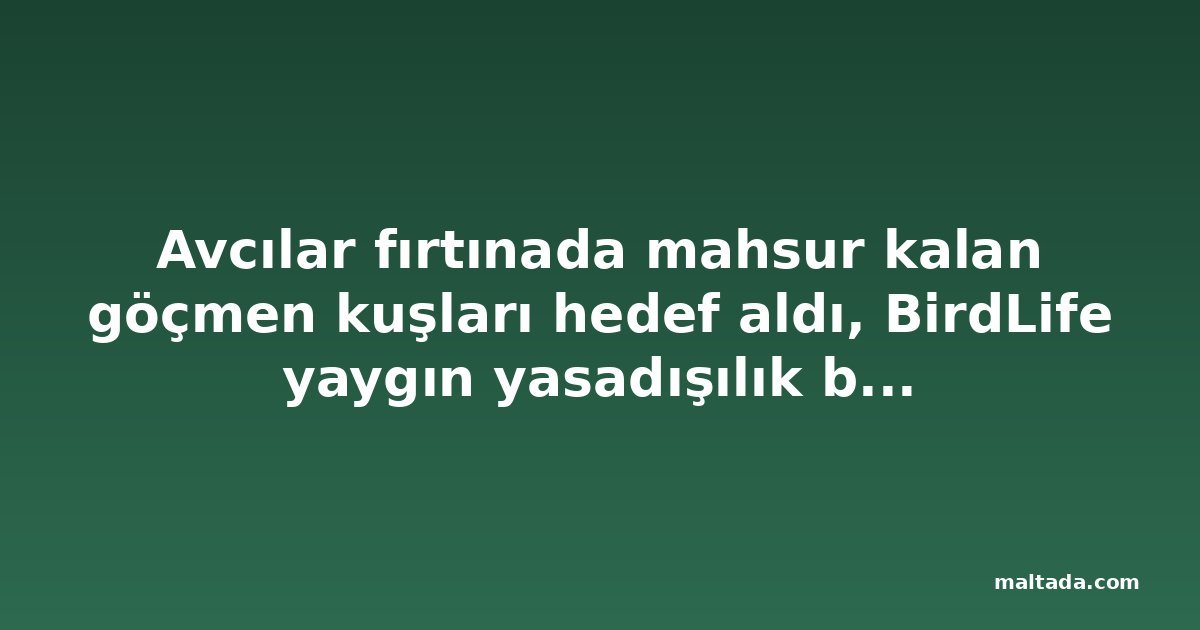 Avcılar fırtınada mahsur kalan göçmen kuşları hedef aldı, BirdLife yaygın yasadışılık bildirdi