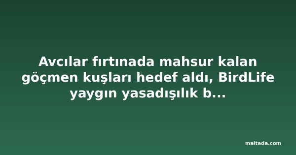 Avcılar fırtınada mahsur kalan göçmen kuşları hedef aldı, BirdLife yaygın yasadışılık bildirdi