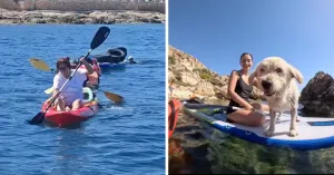 Malta Sahillerinde Kayakla Temizlik: Sekiz Lastik ve Yığınla Çöp Denizden Çıkarıldı