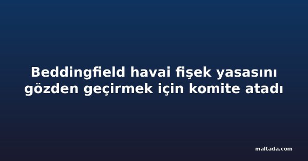 Beddingfield havai fişek yasasını gözden geçirmek için komite atadı