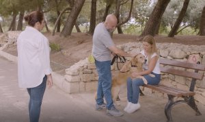 Hükümet, hizmet köpeklerinin eğitimine 3 yılda 150 bin euro destek verecek