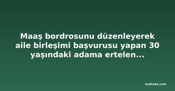 Maaş bordrosunu düzenleyerek aile birleşimi başvurusu yapan 30 yaşındaki adama ertelenmiş hapis