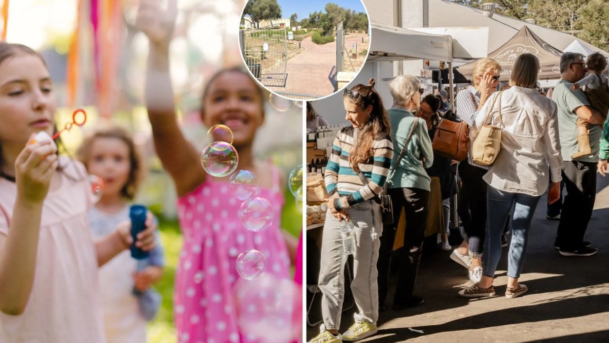 Pazar için plan arıyorsanız: San Klement Parkı'nda ücretsiz bir aile festivali var