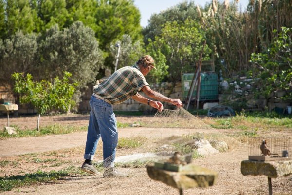 Hükümet, “araştırma” gerekçesiyle yeni kuş yakalama sezonunu açıkladı