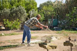 Hükümet, “araştırma” gerekçesiyle yeni kuş yakalama sezonunu açıkladı