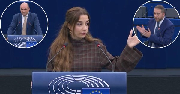 İsveçli AP milletvekili Evin Incir, Maltalı meslektaşlarına sert çıktı: “Mickey Mouse Parlamentosu”
