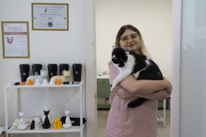 Malta'nın yalnızca kedilere hizmet veren ilk veteriner danışmanlığı: Feline Good