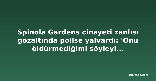 Spinola Gardens cinayeti zanlısı gözaltında polise yalvardı: 'Onu öldürmediğimi söyleyin bana'