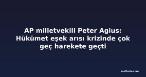 AP milletvekili Peter Agius: Hükümet eşek arısı krizinde çok geç harekete geçti