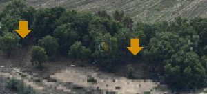 Malta Ranger Unit: Gozo'da üç büyük yasa dışı sis ağı ele geçirildi